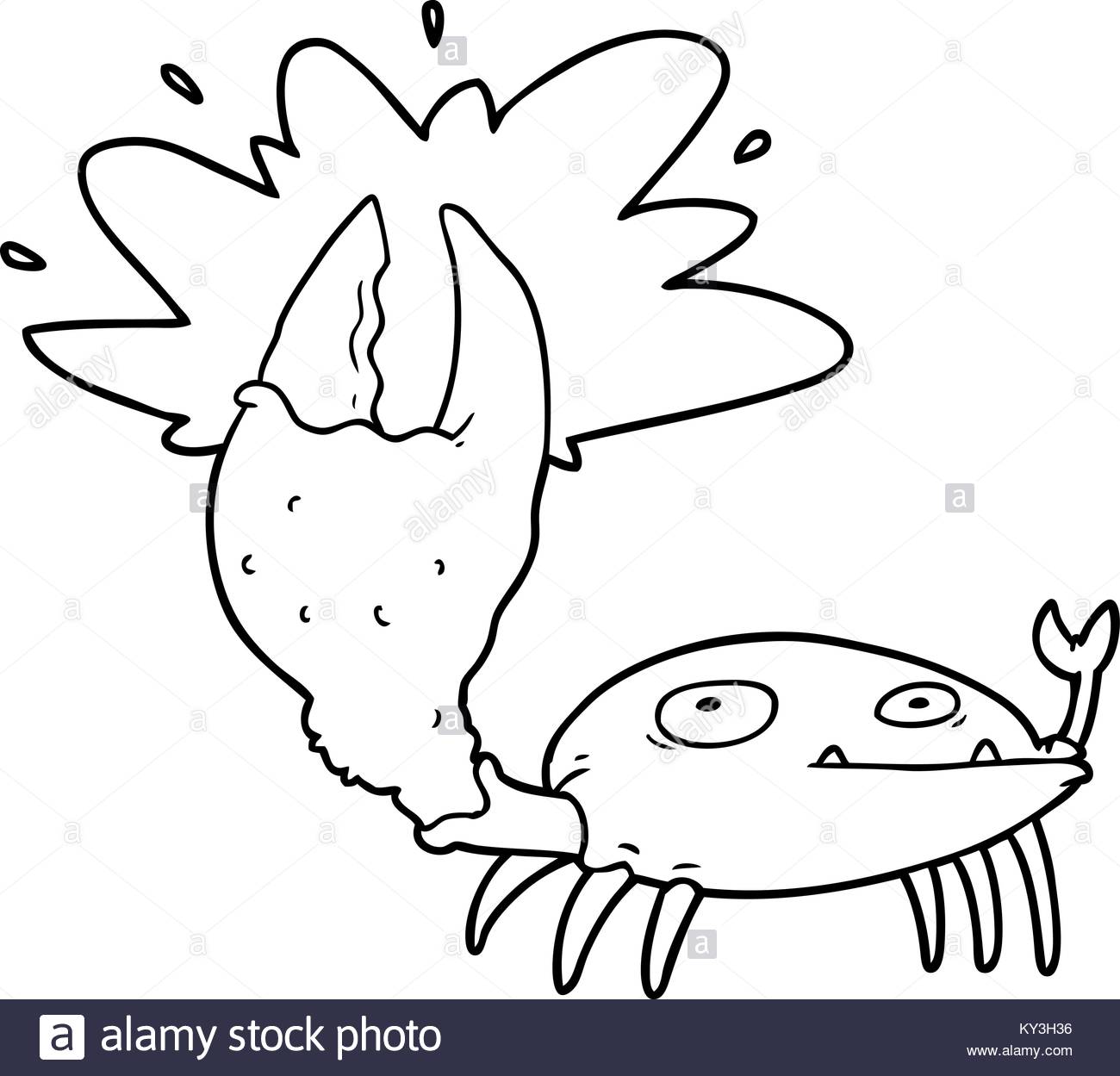 1300x1249 Sea Shell Drawing Black And White Stock Photos Amp Images