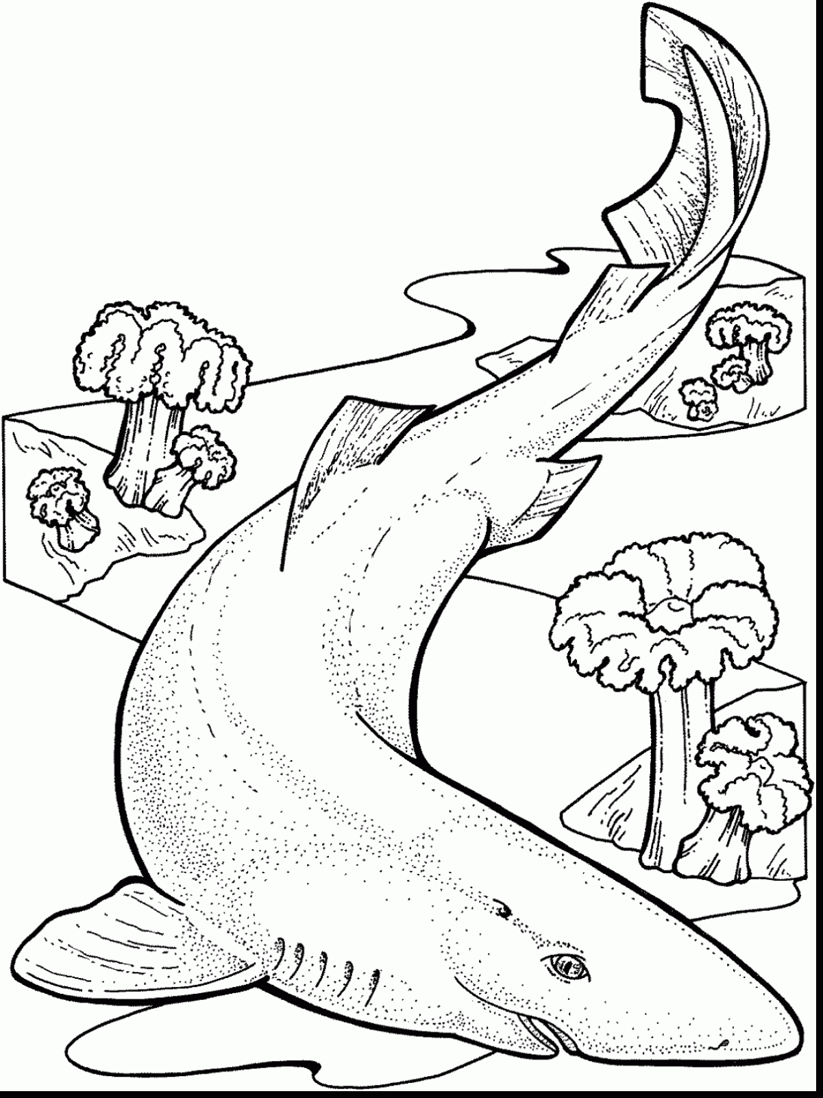 1201x1602 Astounding Ocean Floor Coloring Pages With Underwater Coloring