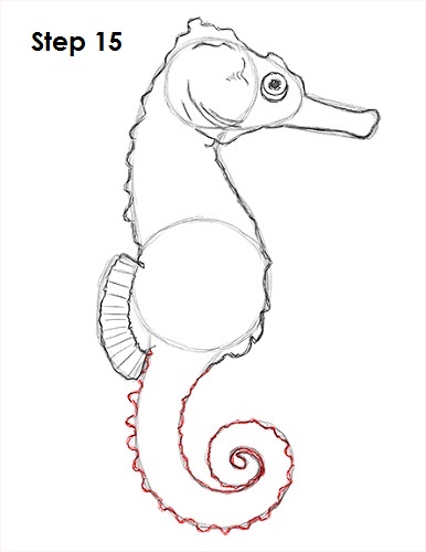 386x500 How To Draw A Seahorse