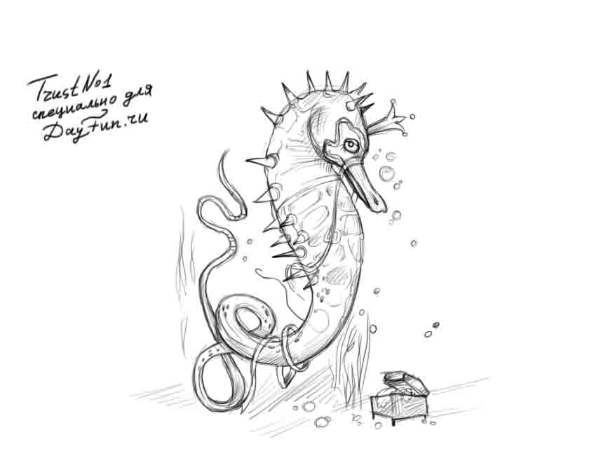 867x650 How To Draw A Seahorse Step By Step