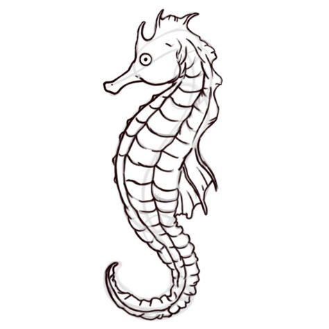 474x474 Realistic Seahorse Coloring Pages Crafts Two