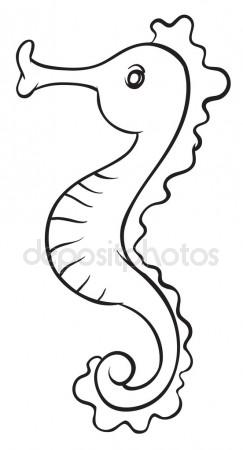 243x450 Sea Horse Vertically, A Deep Water Animal, An Animal With Drawing