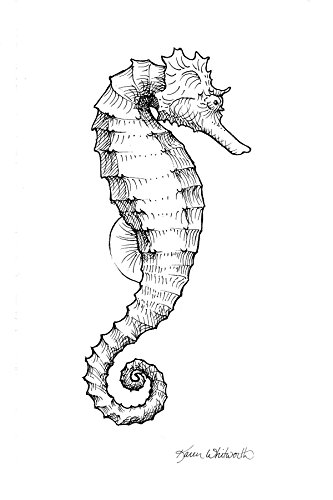 333x500 Black And White Nautical Seahorse Drawing Print By