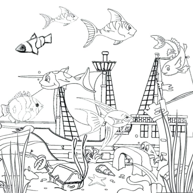 736x736 Underwater Sea Creatures Coloring Pages Ocean And Sea Animals