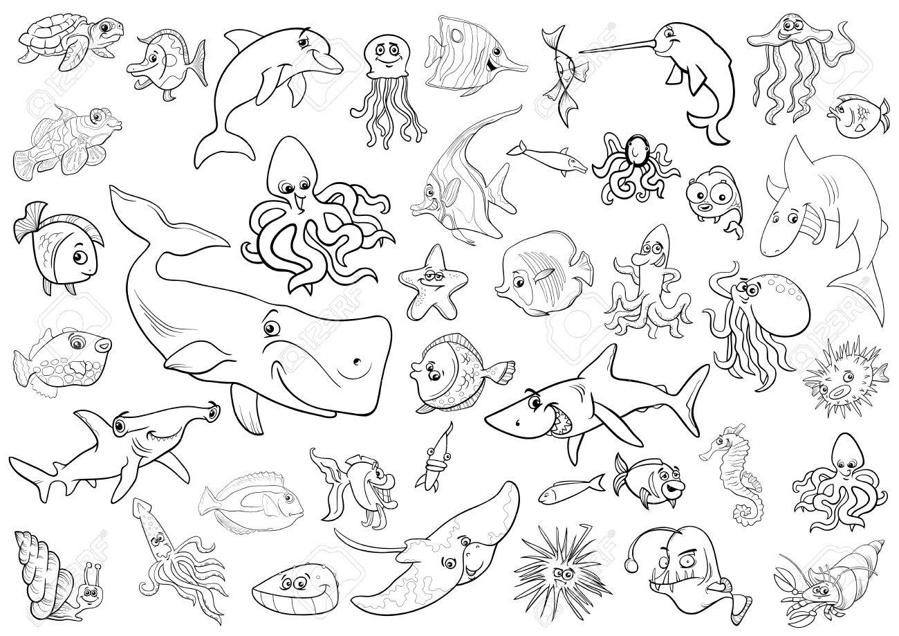 1300x919 Black White Cartoon Illustrations Of Sea Life Animals