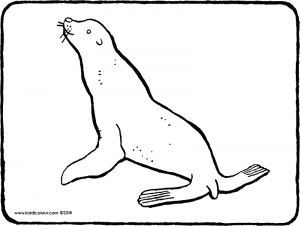 300x226 Sea Lion