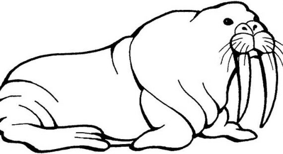 570x310 Coloring Pages Amp Cliparts Collections For Kids