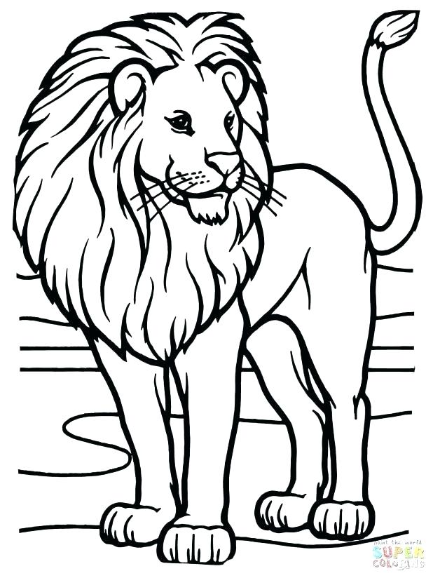 618x824 Elegant Lion Coloring Page Online Free Printable Pages For Kids