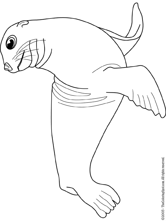 540x720 Sea Lion Audio Stories For Kids Amp Free Coloring Pages From Light