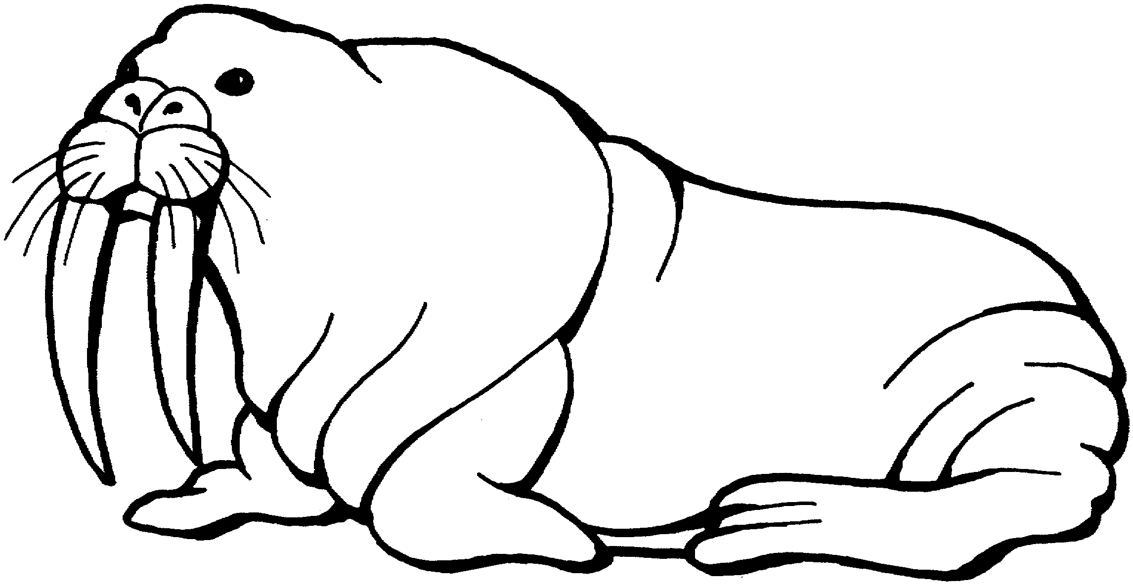 2292x1185 Sea Lion Clipart Black And White