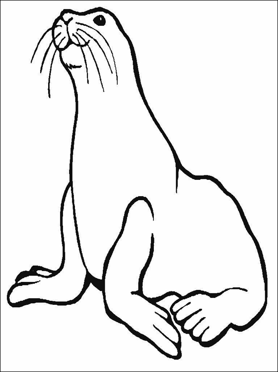 560x747 Sea Lion Coloring Page For Kids Coloring Pages Lacing Cards