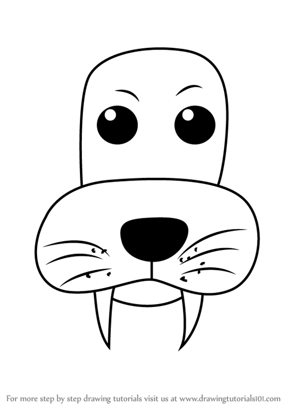566x800 Step By Step How To Draw A Sea Lion Face For Kids