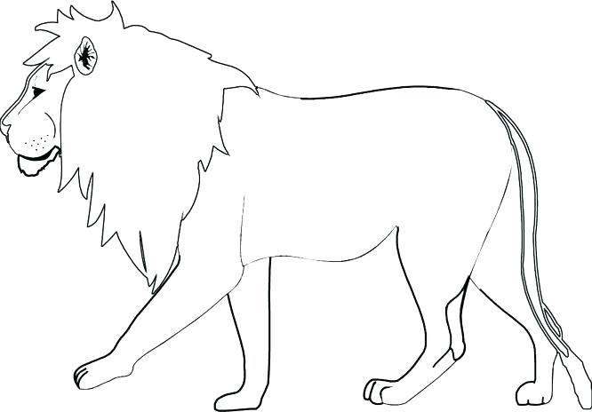 666x464 Coloring Pages Lions