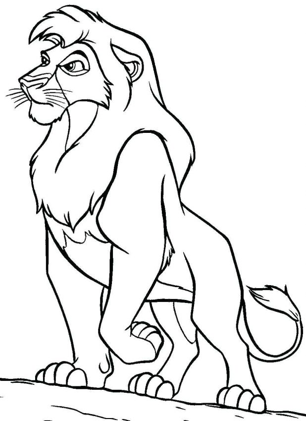 618x849 Coloring Pages Marvelous Lion Color Sheet. Mountain Lion Coloring