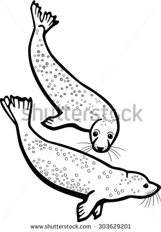 328x470 Drawn Seal Marine Animal