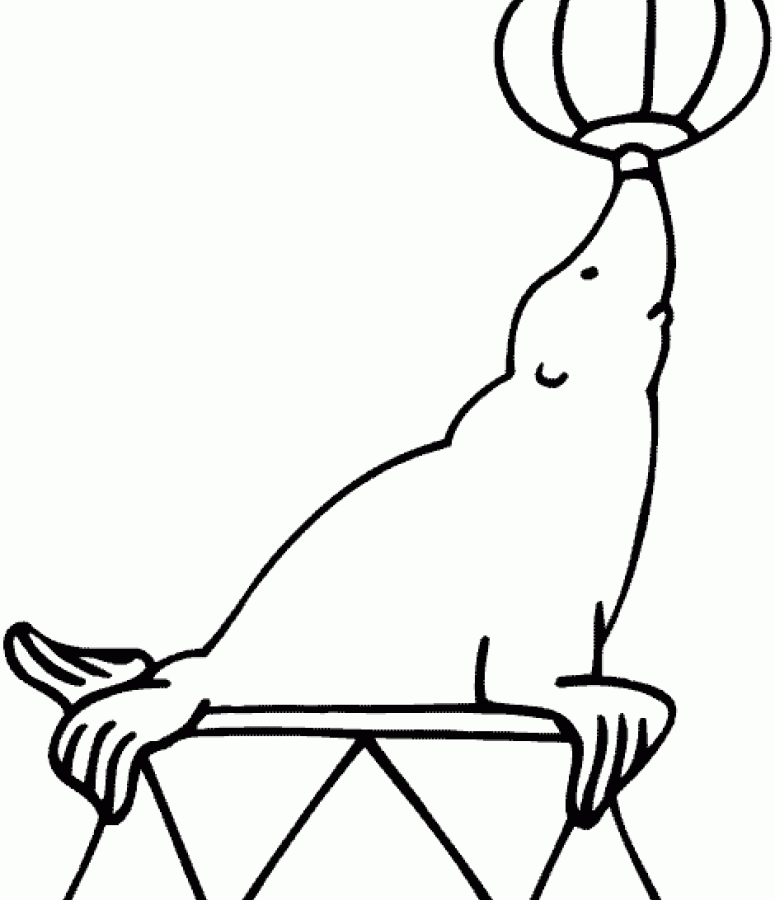 775x900 Marine Animal Coloring Printable Sea Lion Page Animals Color