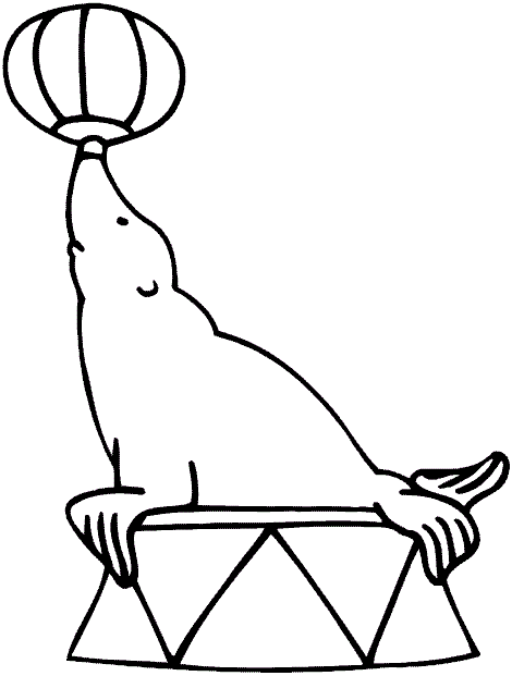 470x621 Sea Lions Playing Ball Sea Lions Kids Net And Lions