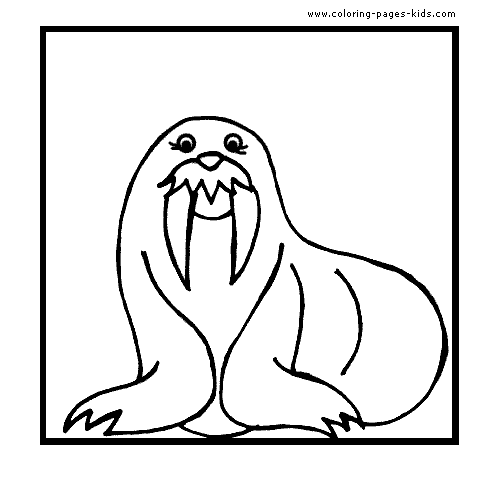 500x480 Sea Lion With Big Teeth Color Page