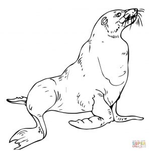 296x300 California Sea Lion Swimming Download Coloring Page