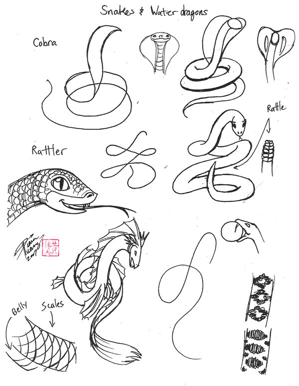 600x773 Draw Snakes And Sea Monsters By Diana Huang