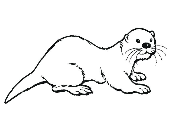 736x552 Sea Otter Coloring Page Pin Sea Otter Black And White 3 Baby Sea
