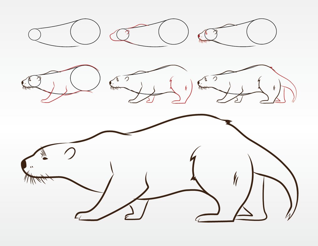 1017x785 Sea Otter Lineart By Fireflyalpha