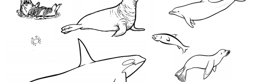 860x280 Teacher Sea Otter Toolkits Archives