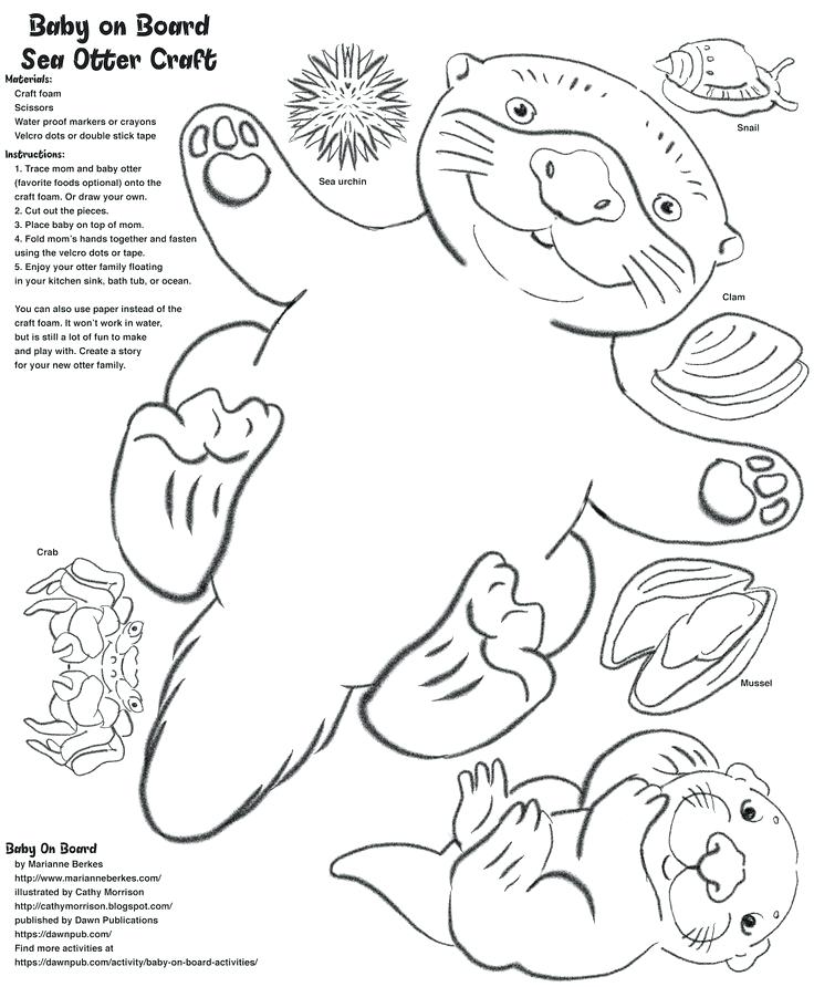736x892 Sea Otter Coloring Page Synthesis.site