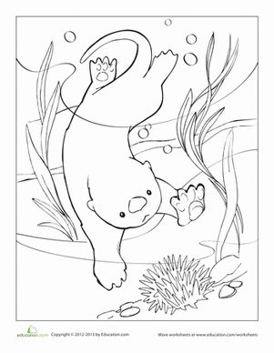 301x388 Otter Coloring Page Free Download