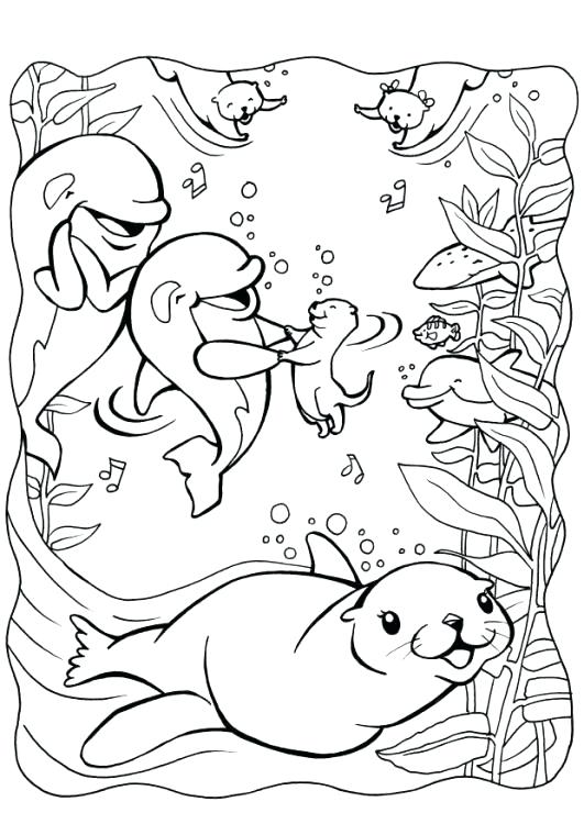 531x750 Otter Coloring Page Otter Coloring Pages Printable