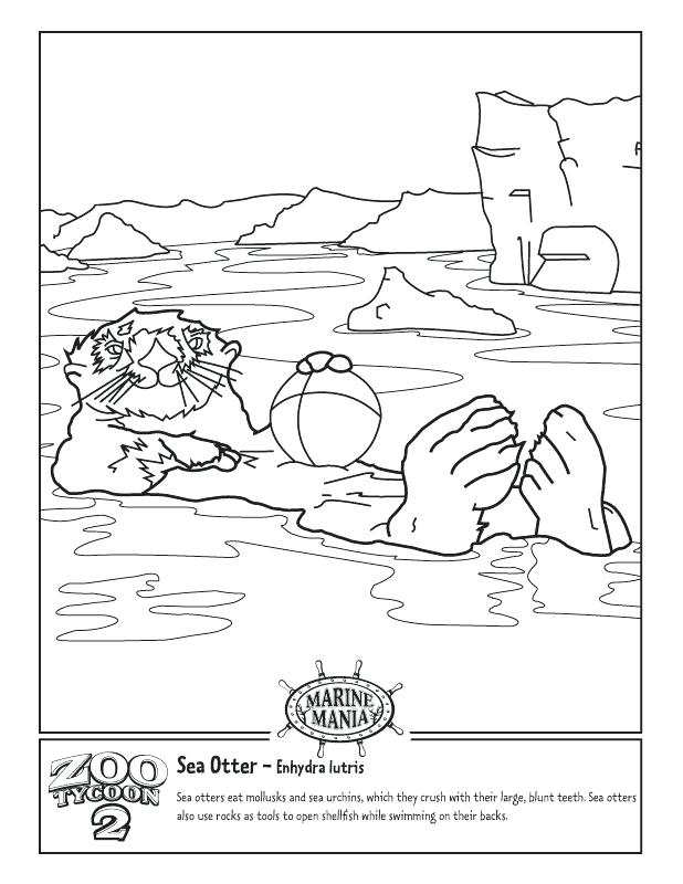 618x800 Sea Otter Coloring Page Otter Coloring Page Adult Coloring Sketch
