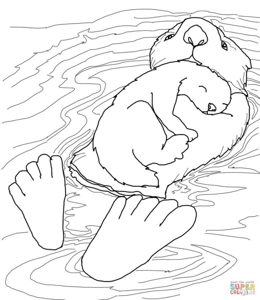 888x1024 Sea Otter Coloring Pages