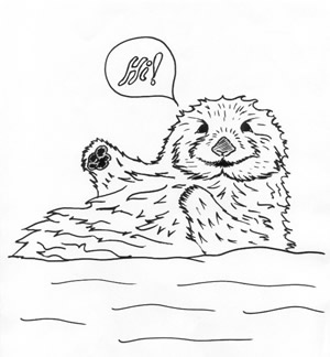 300x324 Sea Otter Drawing