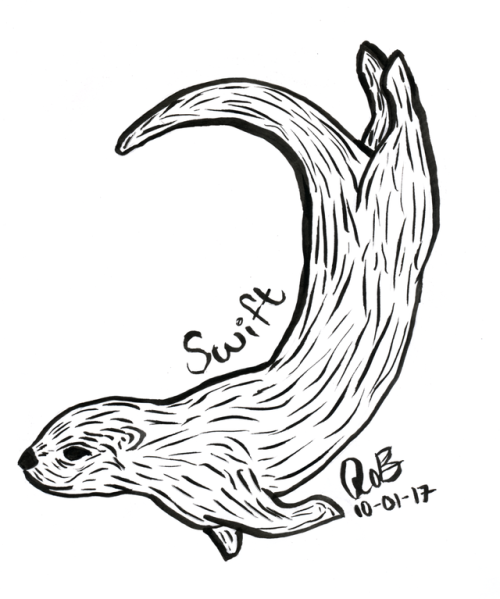 500x599 California Sea Otter Tumblr