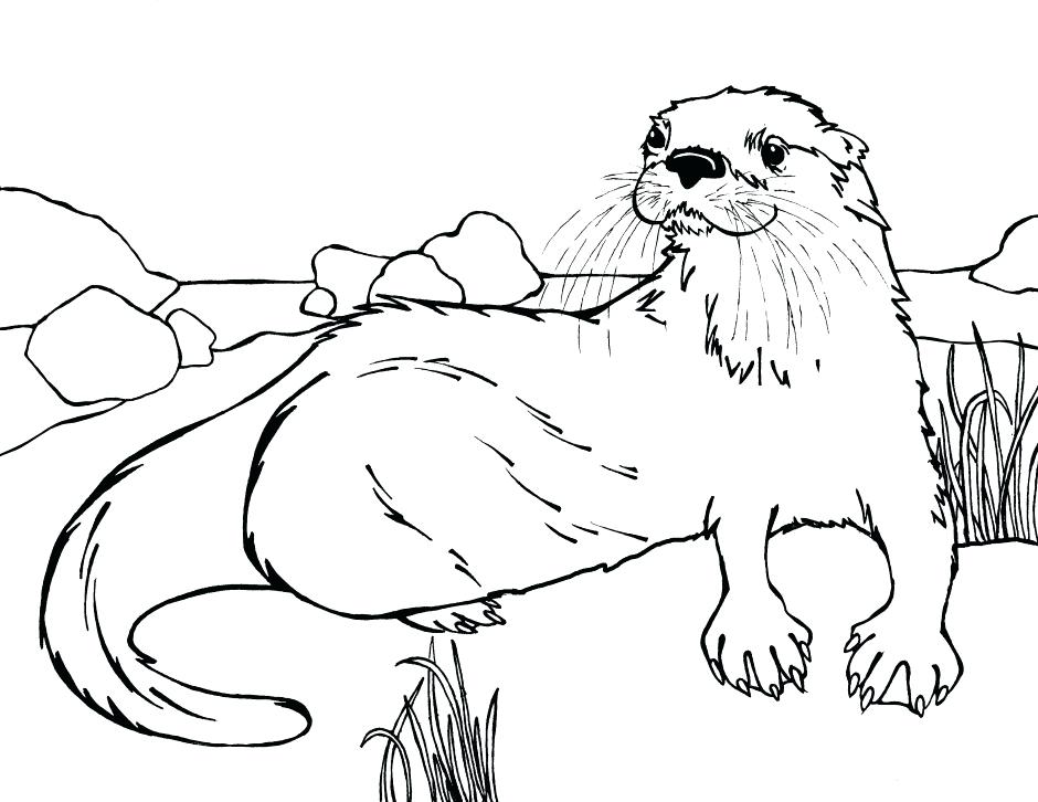 940x726 Otter Coloring Page Cortefocal.site