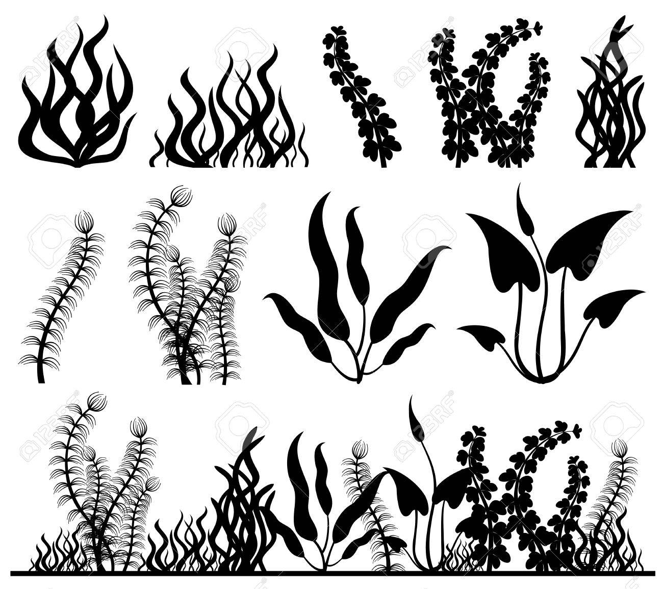 1300x1155 Sea Plants And Aquarium Seaweed Vector Set Royalty Free Cliparts