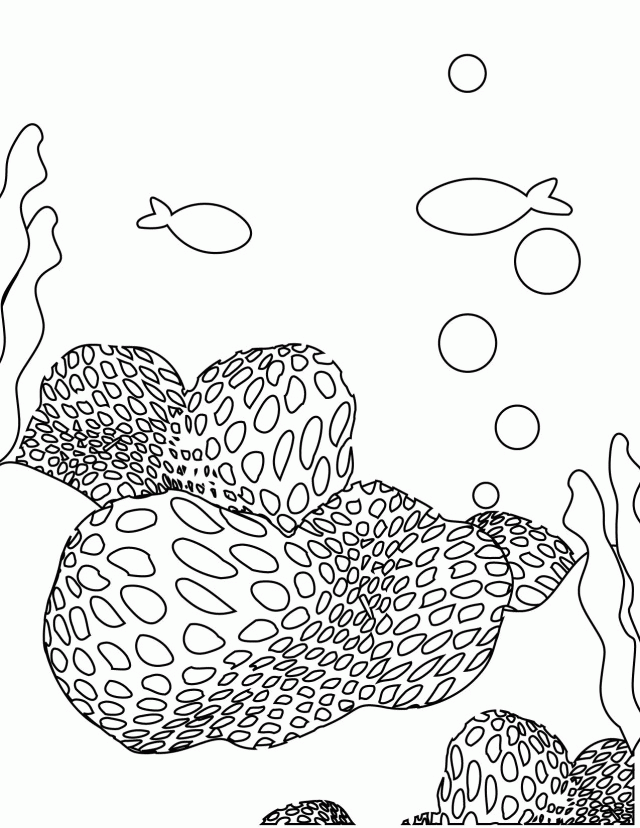 640x828 Sea Plants Coloring Pages On Baby Sea Turtles Coloring Pages Kids