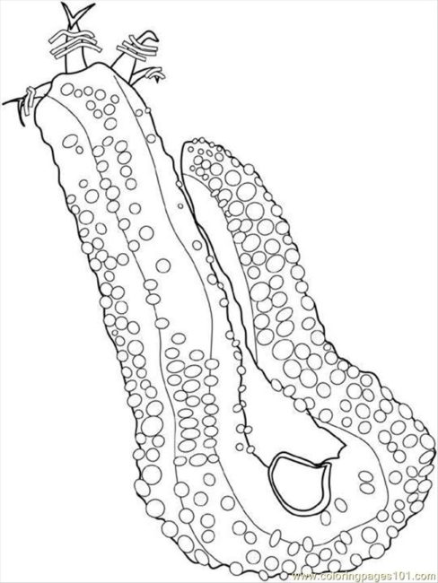 488x650 Sea Plants Coloring Pages 9 Nice Coloring Pages For Kids