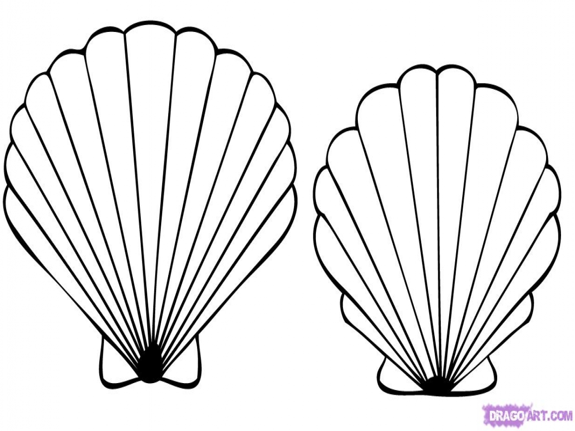 1152x864 Sea Shells Coloring Pages Cartoon Shell Drawings