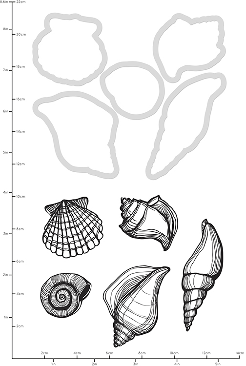 504x750 Kaisercraft Seashells Decorative Dies With Stamps