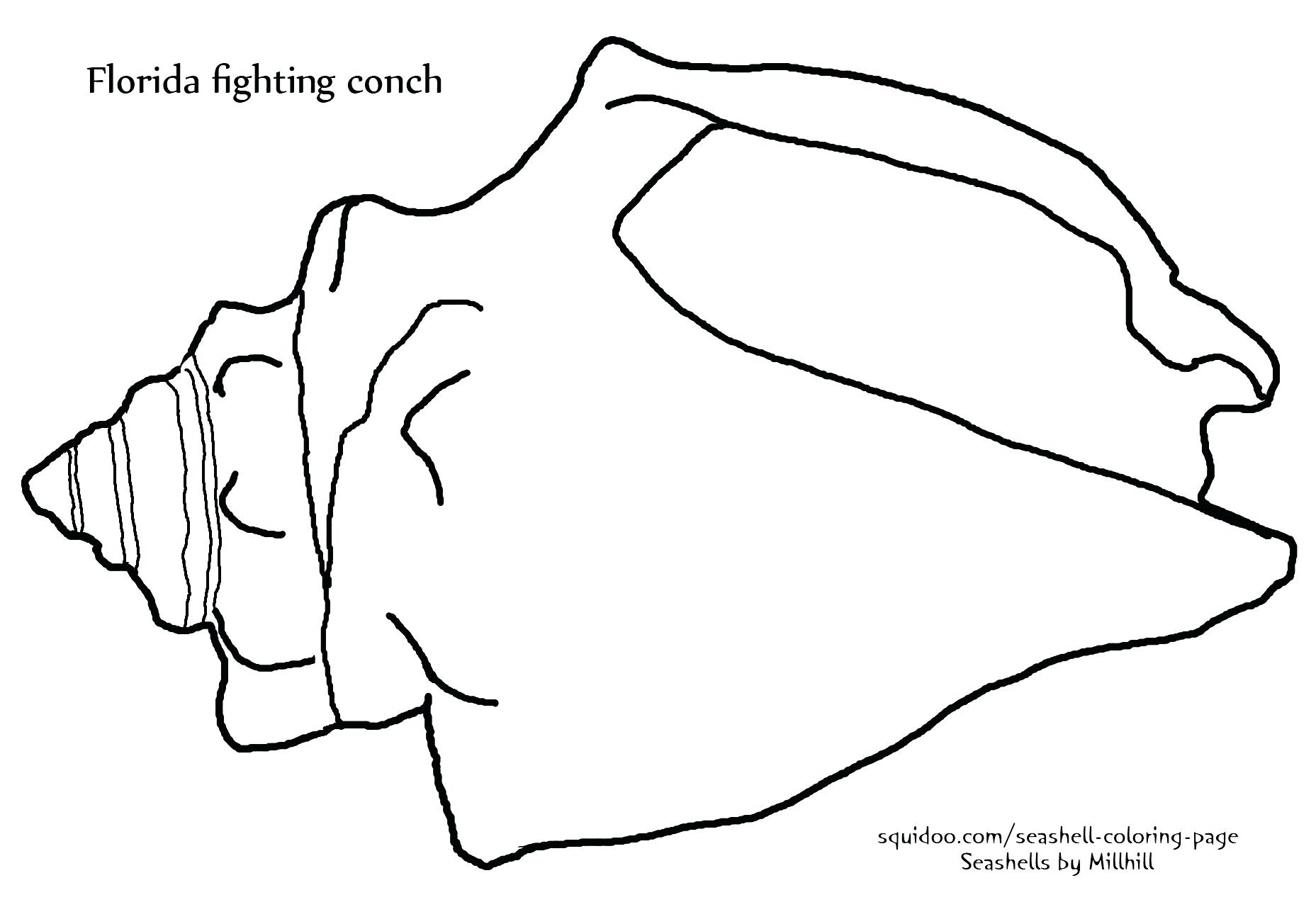 1857x1280 Sea Shell Coloring Pages