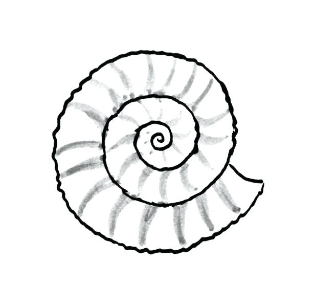 618x600 Sea Shells Coloring Pages Sea Shells Coloring Pages Free Shell