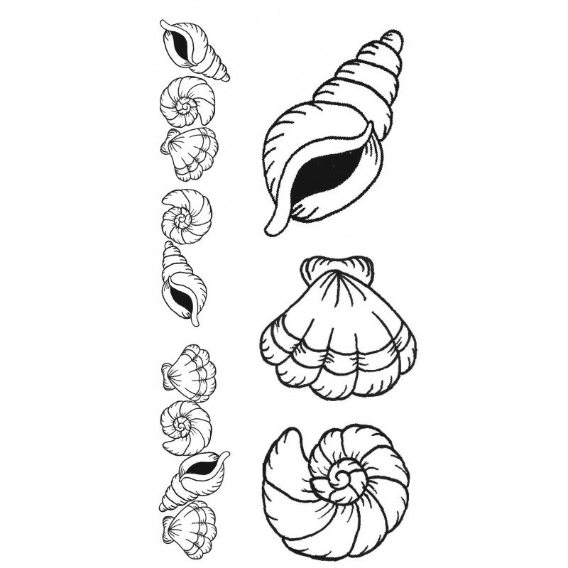 800x800 Seashells Rubber Stamp Set