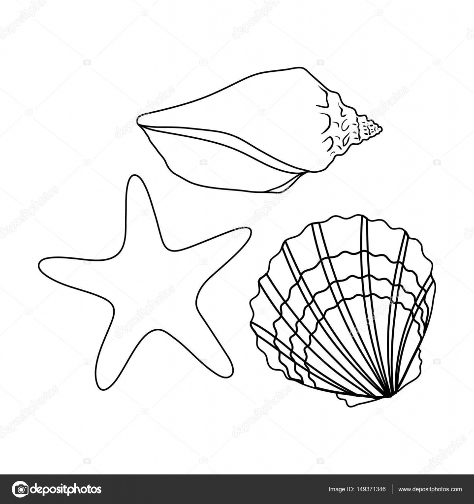 963x1024 Seashells From The Bottom Of The Sea.summer Rest Single Icon