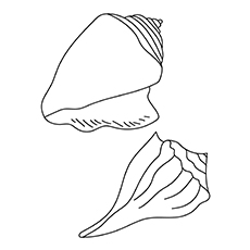 230x230 Top 25 Free Printable Shell Coloring Pages Online