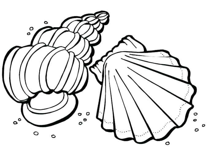 678x500 Brilliant Glamorous Sea Shell Coloring Pages Print Printable