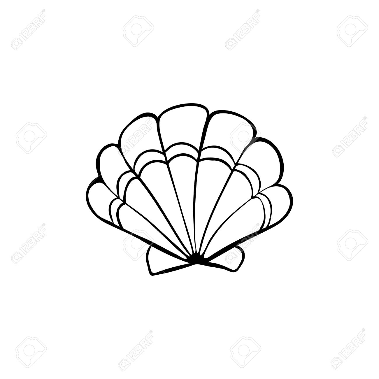 1300x1300 Hand Drawn Sea Shell. Scallop Outline. Seashell Icon In Black