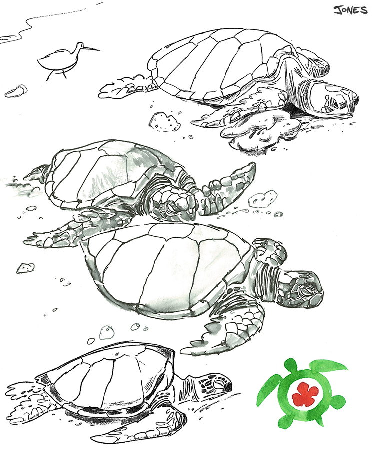 749x900 Matt Jones February 2013