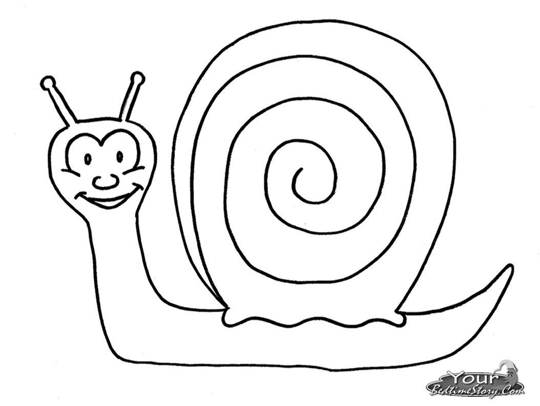 1054x794 Snail