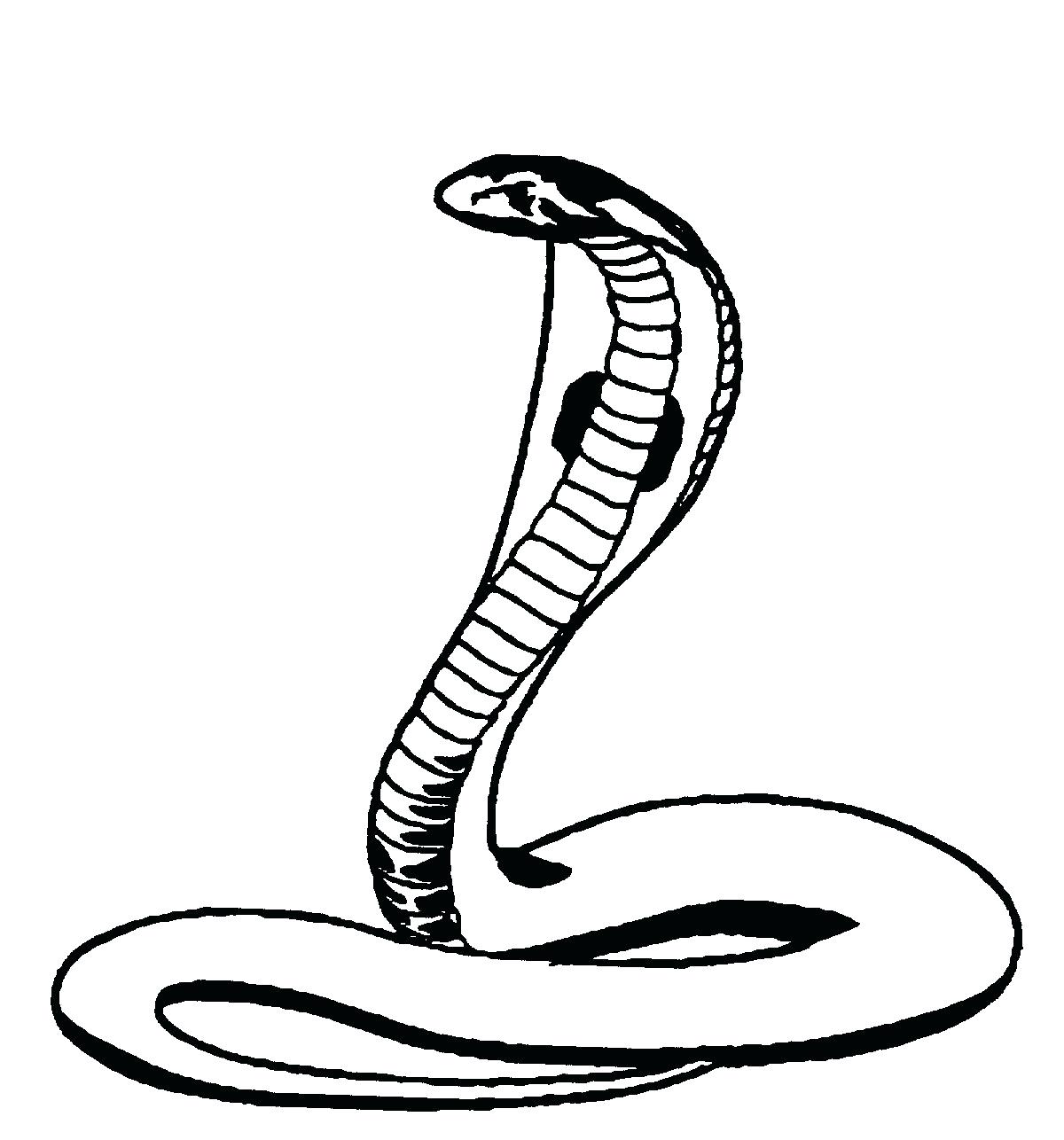 1200x1286 Printable King Cobra Coloring Pages Printable Realistic Snakes